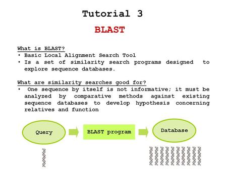 BLAST Tutorial 3 What is BLAST? Basic Local Alignment Search Tool Is a set of similarity search programs designed to explore sequence databases. What are.