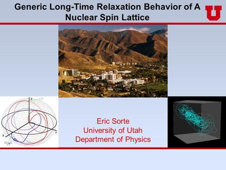 Eric Sorte University of Utah Department of Physics Generic Long-Time Relaxation Behavior of A Nuclear Spin Lattice.