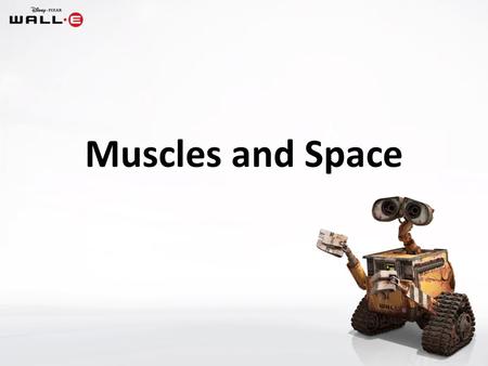 Muscles and Space. Two functions of your skeleton are to: (1)provide shape and support for your body (2)enable you to move.