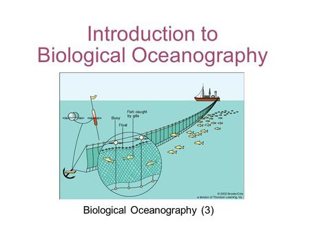 Introduction to Biological Oceanography Biological Oceanography (3)