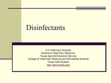 Disinfectants 4-H Veterinary Science Extension Veterinary Medicine Texas AgriLife Extension Service College of Veterinary Medicine and Biomedical Science.
