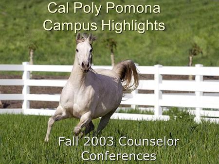 Fall 2003 Counselor Conferences Cal Poly Pomona Campus Highlights.