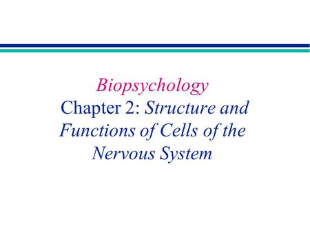 Copyright 2002 Michael A. Bozarth. Portions Copyright 2001 Allyn & Bacon Biopsychology Chapter 2: Structure and Functions of Cells of the Nervous System.