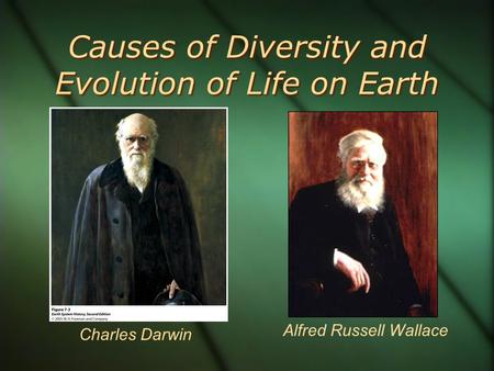 Causes of Diversity and Evolution of Life on Earth Charles Darwin Alfred Russell Wallace.