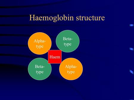Haemoglobin structure Alpha- type Alpha- type Beta- type Beta- type Haem.