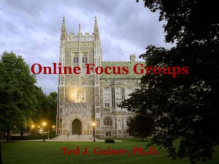 Online Focus Groups Ted J. Gaiser, Ph.D.. Goals Create a space for us to engage in a discussion about online focus groups Introduce topics of interest.