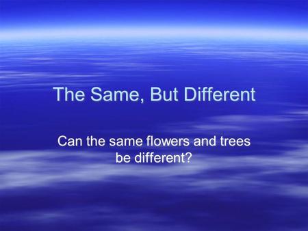 Can the same flowers and trees be different?