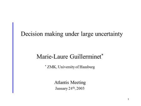 1 Decision making under large uncertainty * Marie-Laure Guillerminet * * ZMK, University of Hamburg Atlantis Meeting January 24 th, 2003.