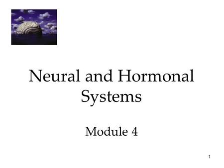 Neural and Hormonal Systems Module 4