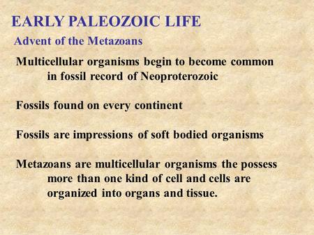 EARLY PALEOZOIC LIFE Advent of the Metazoans