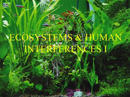 ECOSYSTEMS & HUMAN INTERFERENCES I.  Ecosystem: the biological communities & their abiotic environment  Ecosystems are Characterized by: Energy flow.