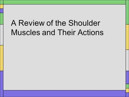 A Review of the Shoulder Muscles and Their Actions.