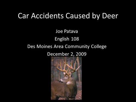 Car Accidents Caused by Deer Joe Patava English 108 Des Moines Area Community College December 2, 2009.