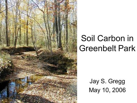 Soil Carbon in Greenbelt Park Jay S. Gregg May 10, 2006.
