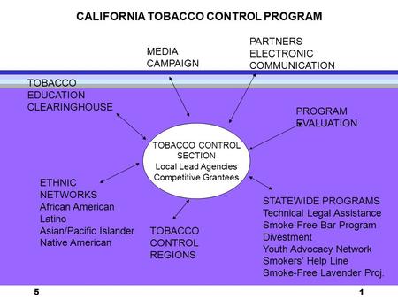 51 TOBACCO CONTROL SECTION Local Lead Agencies Competitive Grantees MEDIA CAMPAIGN TOBACCO EDUCATION CLEARINGHOUSE ETHNIC NETWORKS African American Latino.