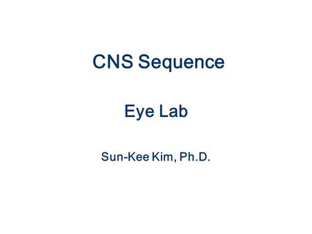 CNS Sequence Eye Lab Sun-Kee Kim, Ph.D.. Eyelids: Netter pl. 76.