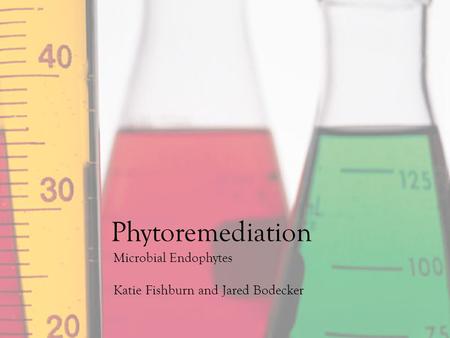 Microbial Endophytes Katie Fishburn and Jared Bodecker