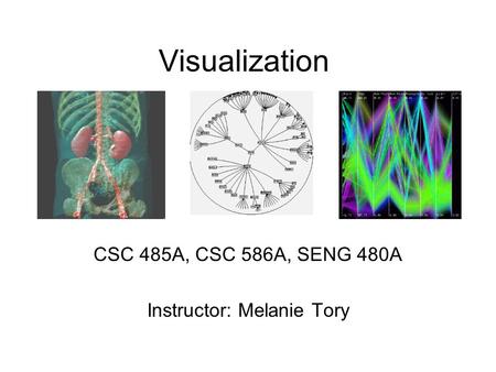 Visualization CSC 485A, CSC 586A, SENG 480A Instructor: Melanie Tory.