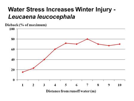Water Stress Increases Winter Injury - Leucaena leucocephala Distance from runoff water (m) Dieback (% of maximum)