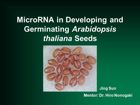 MicroRNA in Developing and Germinating Arabidopsis thaliana Seeds Jing Sun Mentor: Dr. Hiro Nonogaki.