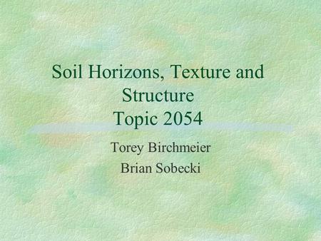 Soil Horizons, Texture and Structure Topic 2054 Torey Birchmeier Brian Sobecki.