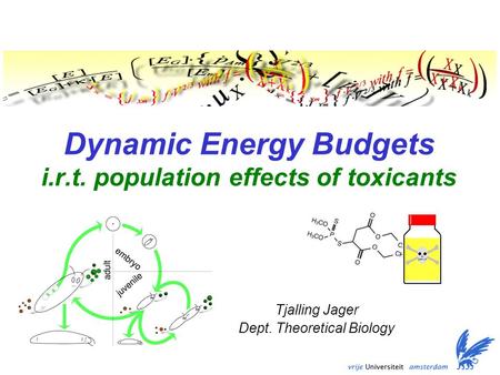 Dynamic Energy Budgets i.r.t. population effects of toxicants Tjalling Jager Dept. Theoretical Biology.