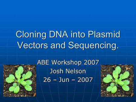 Cloning DNA into Plasmid Vectors and Sequencing. ABE Workshop 2007 Josh Nelson 26 – Jun – 2007.