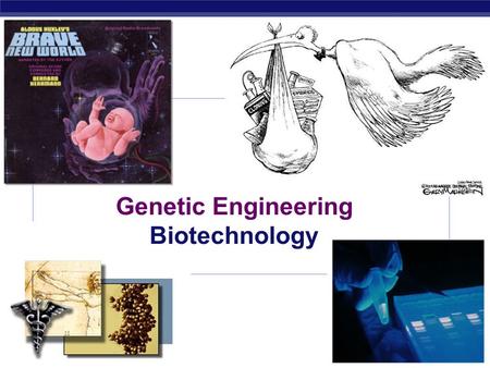 Genetic Engineering Biotechnology We have been manipulating DNA for generations!  Artificial breeding  creating new breeds of animals & new crop plants.