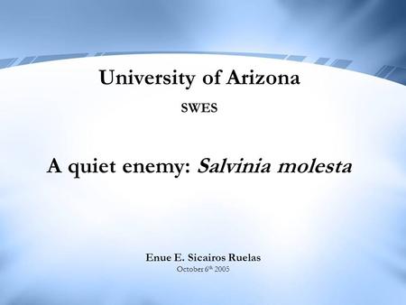 University of Arizona SWES