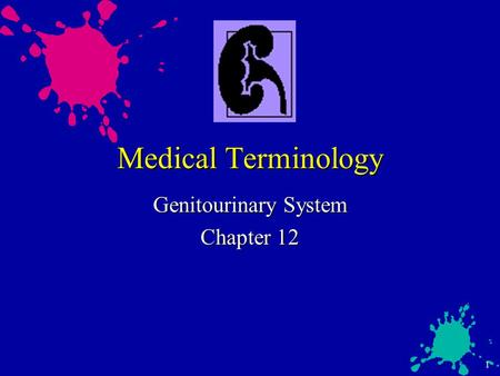 1 Medical Terminology Genitourinary System Chapter 12.