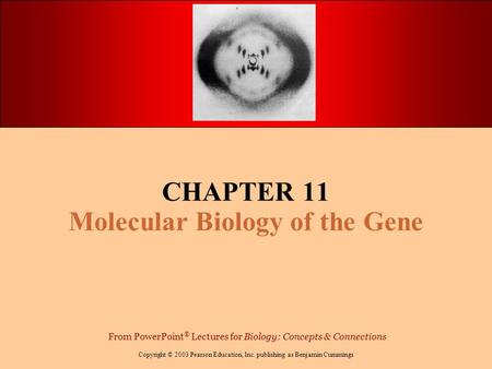 CHAPTER 11 Molecular Biology of the Gene