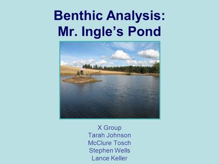 Benthic Analysis: Mr. Ingle’s Pond X Group Tarah Johnson McClure Tosch Stephen Wells Lance Keller.