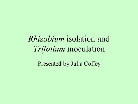 Rhizobium isolation and Trifolium inoculation Presented by Julia Coffey.