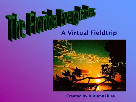 A Virtual Fieldtrip Created by Autumn Huey. Southern Florida West of Miami