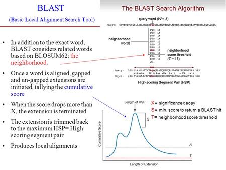 BLAST (Basic Local Alignment Search Tool) In addition to the exact word, BLAST considers related words based on BLOSUM62: the neighborhood. Once a word.