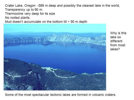 Crater Lake, Oregon -589 m deep and possibly the clearest lake in the world, Transparency up to 90 m. Thermocline very deep for its size No rooted plants.