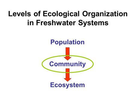 Levels of Ecological Organization in Freshwater Systems Population Community Ecosystem.