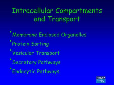 Copyright © 2005 Pearson Prentice Hall, Inc. Intracellular Compartments and Transport Membrane Enclosed Organelles Protein Sorting Vesicular Transport.