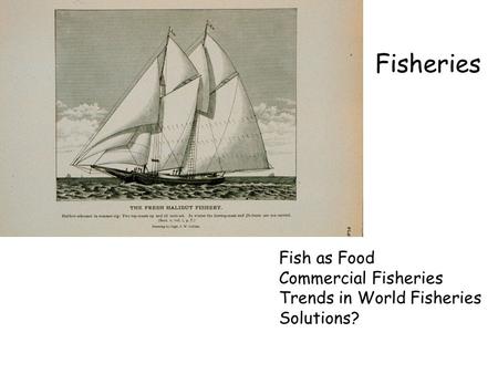 Fisheries Fish as Food Commercial Fisheries Trends in World Fisheries Solutions?