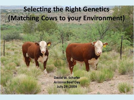Selecting the Right Genetics (Matching Cows to your Environment) David W. Schafer Arizona Beef Day July 29, 2009.