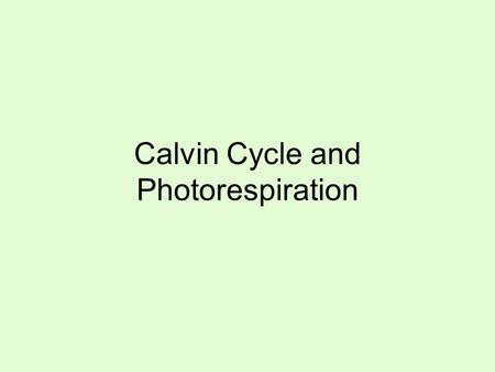 Calvin Cycle and Photorespiration. Calvin Cycle Where does the Calvin Cycle occur? In the stroma What goes into the Calvin Cycle? ATP, NADPH, Carbon Dioxide.