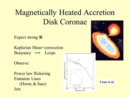 Magnetically Heated Accretion Disk Coronae Expect strong B: Keplerian Shear+convection Bouyancy Loops Observe: Power law flickering Emission Lines (Horne.