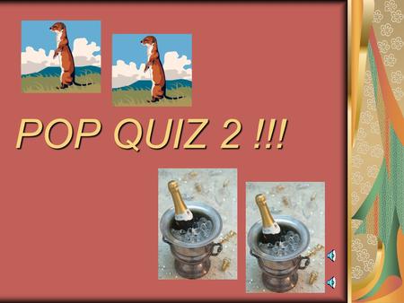 POP QUIZ 2 !!! Multiple Choice Questions The organization whose website you visited in your homework, that registers ip addresses in North and South.