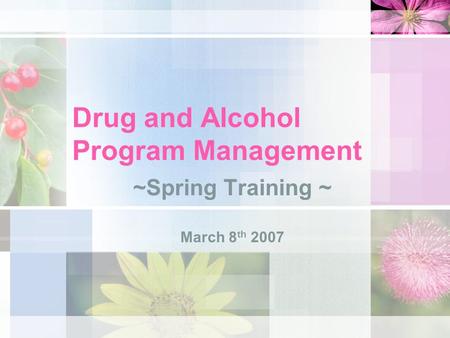 Drug and Alcohol Program Management ~Spring Training ~ March 8 th 2007.