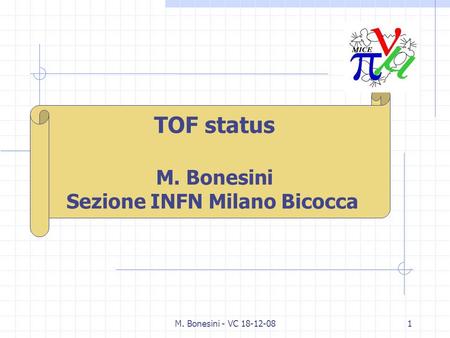 M. Bonesini - VC 18-12-081 TOF status M. Bonesini Sezione INFN Milano Bicocca.