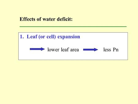 1.Leaf (or cell) expansion lower leaf area less Pn Effects of water deficit: