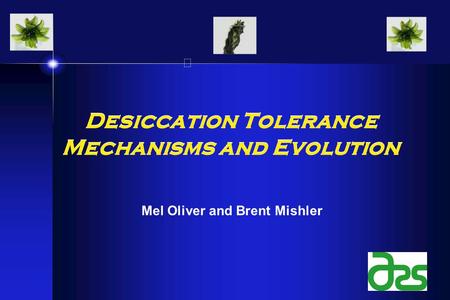 Desiccation Tolerance Mechanisms and Evolution Mel Oliver and Brent Mishler.