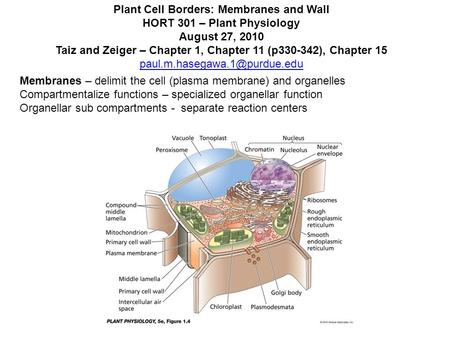 Plant Cell Borders: Membranes and Wall HORT 301 – Plant Physiology August 27, 2010 Taiz and Zeiger – Chapter 1, Chapter 11 (p330-342), Chapter 15