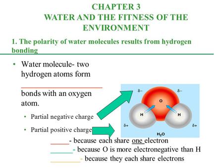 1. The polarity of water molecules results from hydrogen bonding Water molecule- two hydrogen atoms form ____________________ bonds with an oxygen atom.