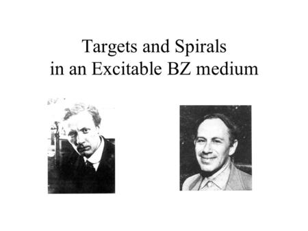 Targets and Spirals in an Excitable BZ medium.